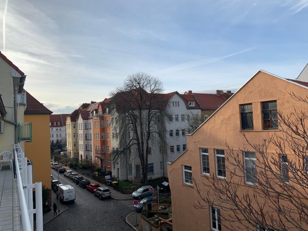 Biene Erfurt